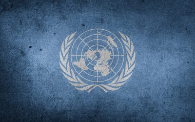 Learn about Model United Nations (MUN)